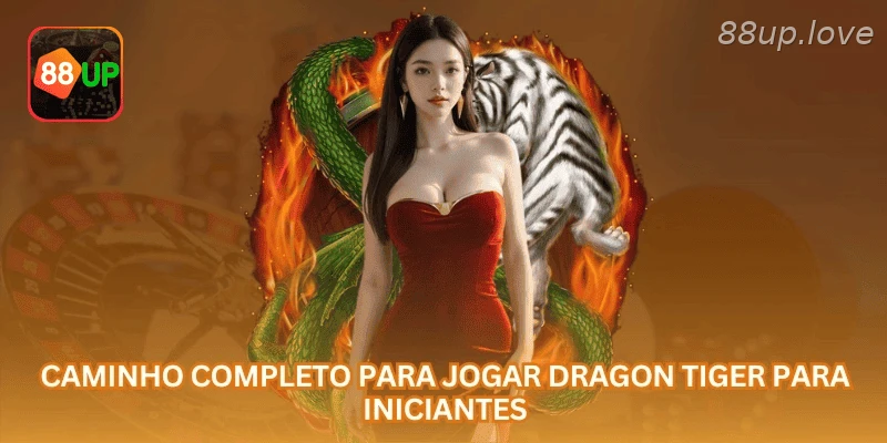 Guia inicial de Dragon Tiger com regras de carta e confirmação de aposta